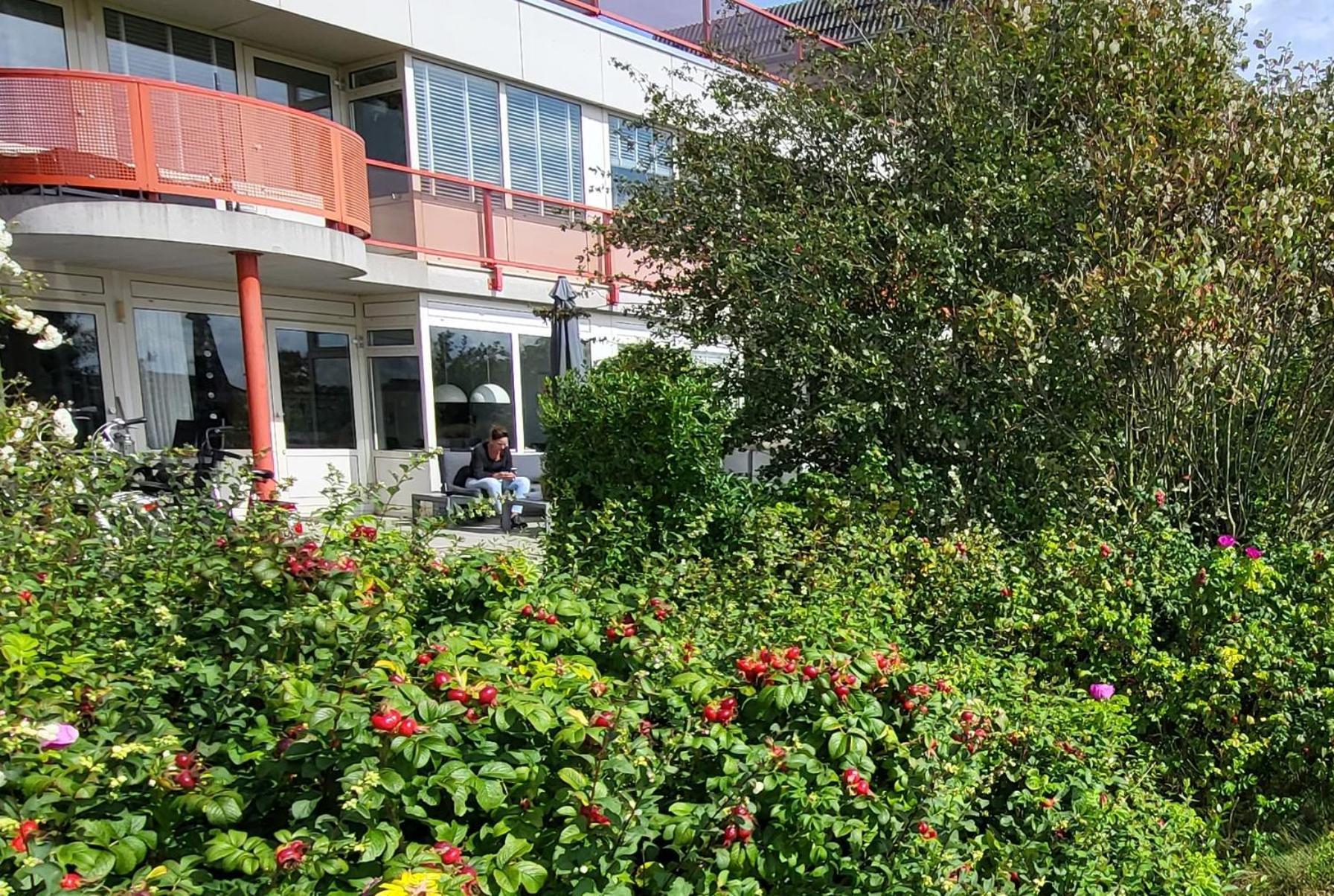 Duinzicht Appartement Buren  Buitenkant foto